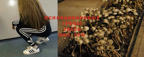 крисы Верхнеуральск