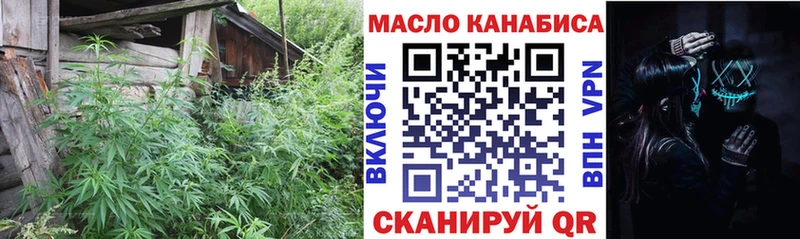 Дистиллят ТГК концентрат Новосокольники