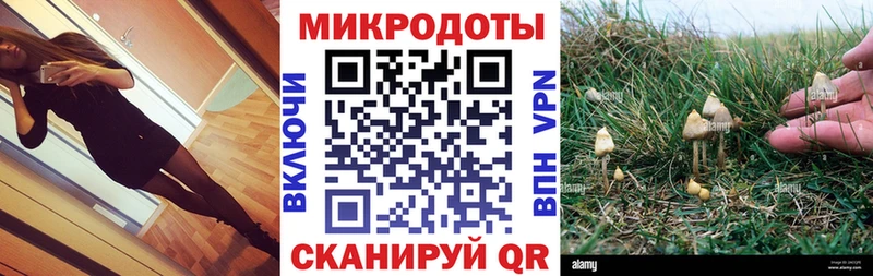 магазин продажи   Новосокольники  ссылка на мегу зеркало  Псилоцибиновые грибы Psilocybine cubensis 